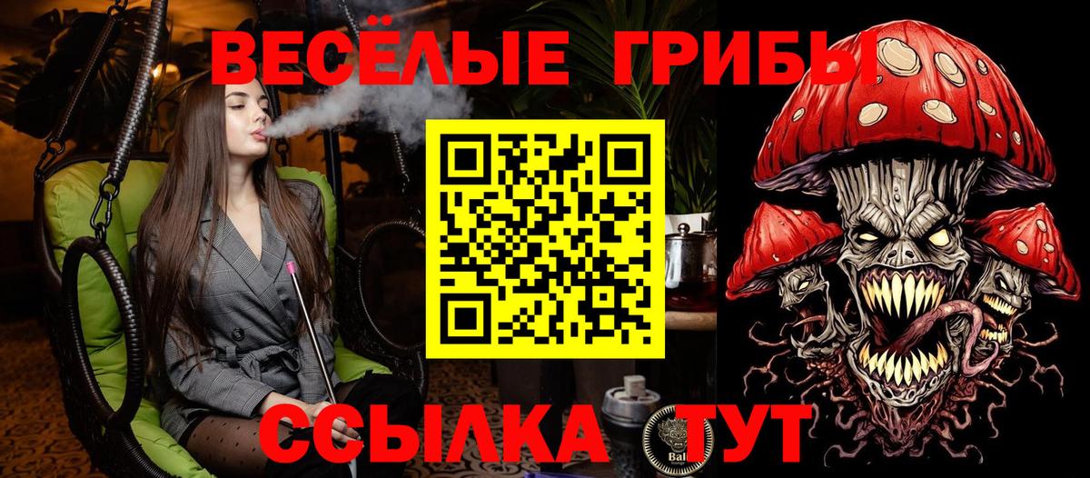 Галлюциногенные грибы мухоморы Волоколамск
