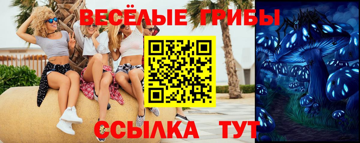 Волоколамск  Галлюциногенные грибы мухоморы  Вход с VPN 